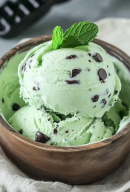 Ninja Creami Mint Chocolate Chip Ice Cream