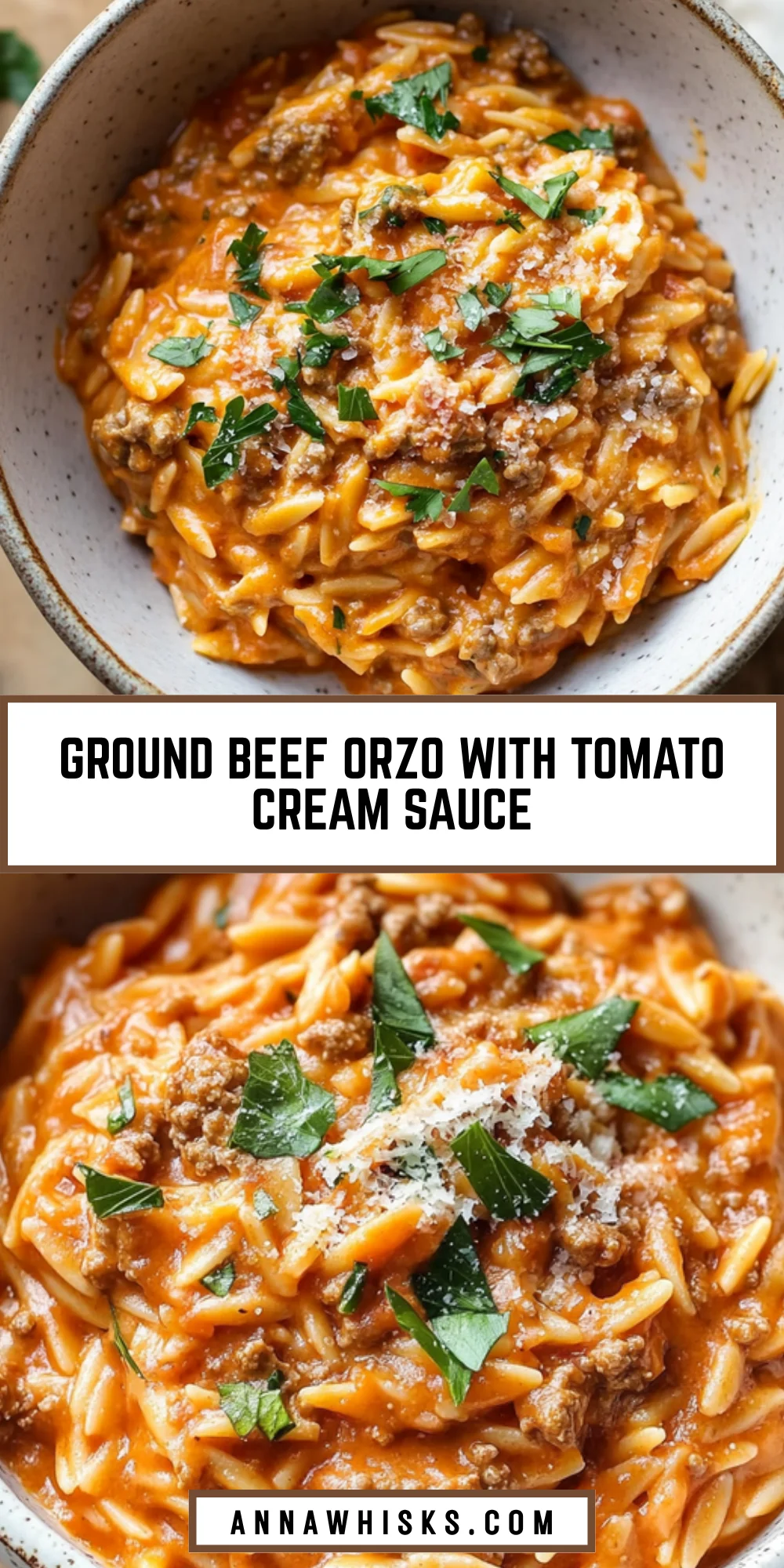 Ground Beef Orzo with Tomato Cream Sauce 19 Pinterest Hidden Image