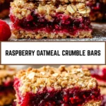 Raspberry Oatmeal Crumble Bars 19 Pinterest Hidden Image